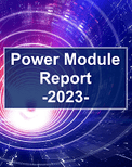 Power Module Report 2023